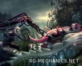 Скриншот к игре Ведьмак - Дилогия / The Witcher - Fantasy Edition (2007-2011) PC | RePack от R.G. Механики